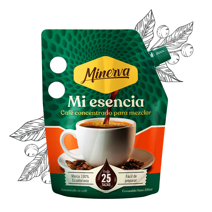 6E_ESENCIA2